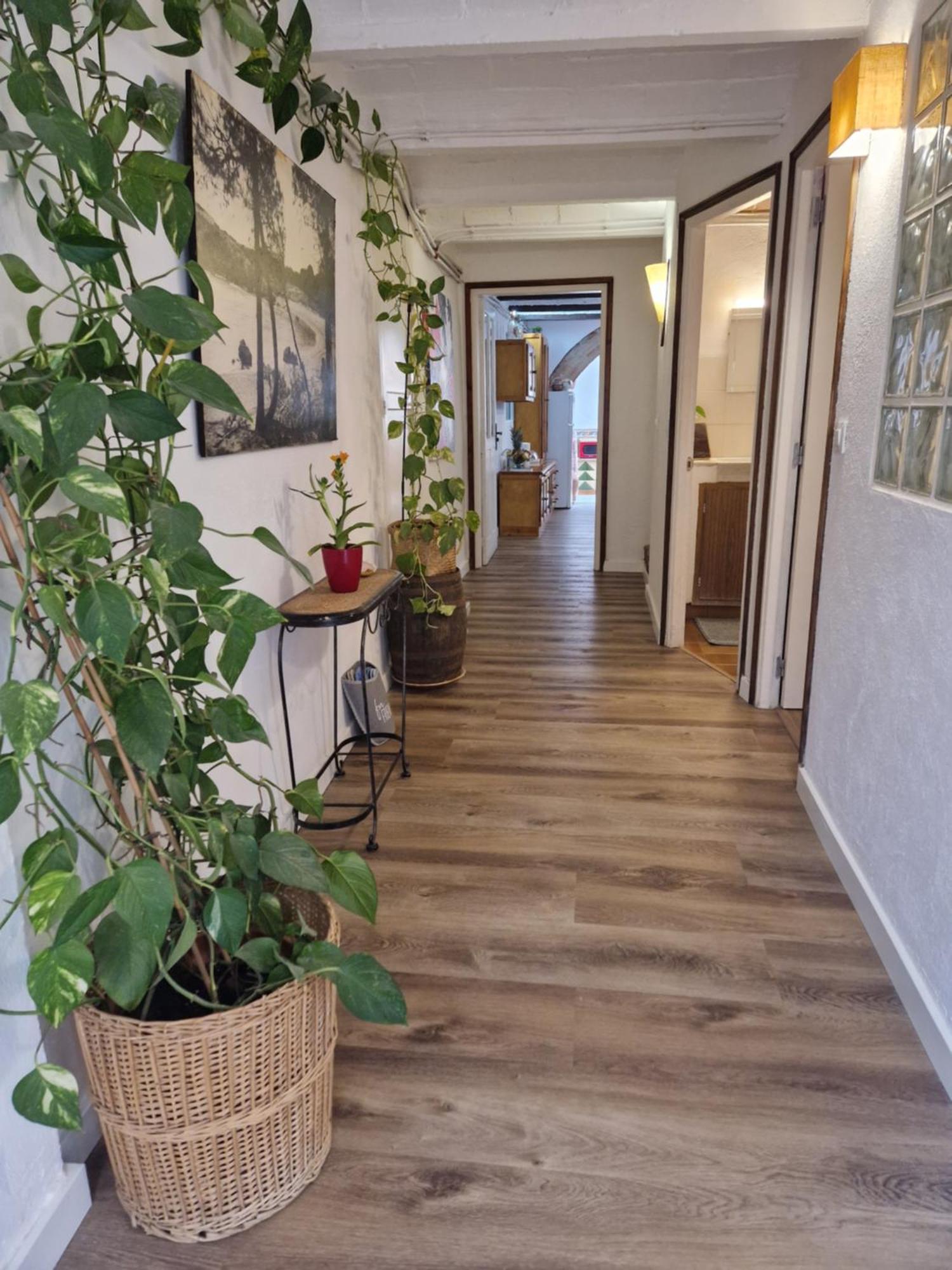 Ca La Teia Apartman Bellcaire d'Emporda Kültér fotó